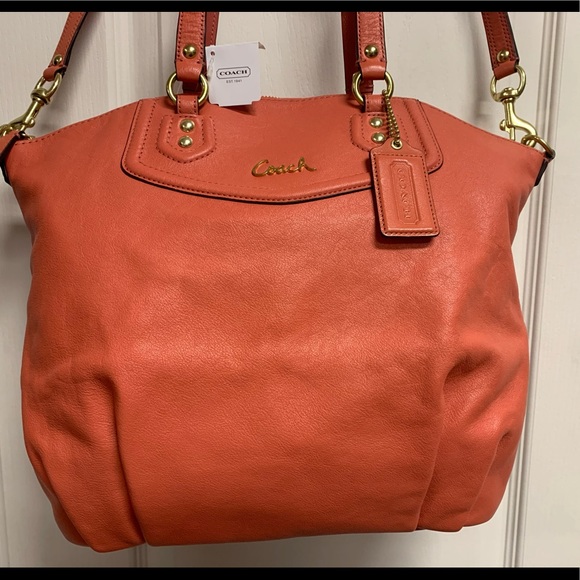 coach f23684